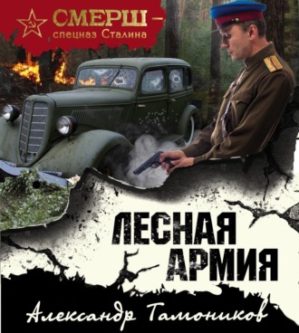 Обложка книги «Лесная армия»