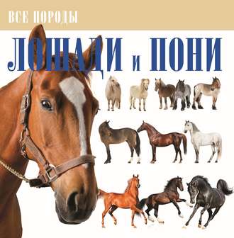 Обложка книги «Лошади и пони»