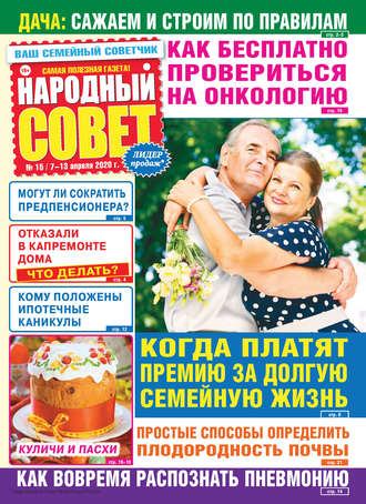 Обложка книги «Народный совет №15/2020»
