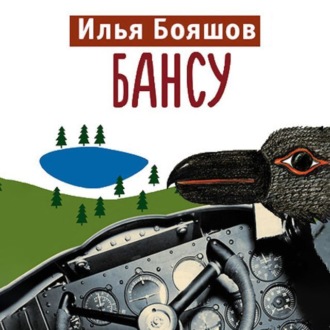 Обложка книги «Бансу»