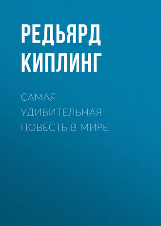 Обложка книги «Самая удивительная повесть в мире»