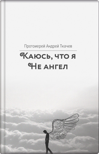 Обложка книги «Каюсь, что я не ангел»