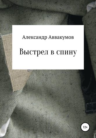 Обложка книги «Выстрел в спину»