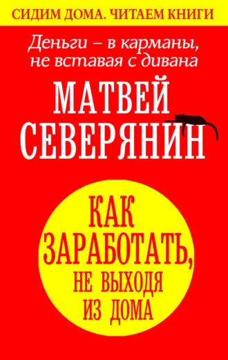 Матвей Северянин. Деньги – в карманы, не вставая с дивана. Как заработать, не выходя из дома