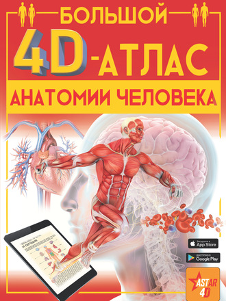 А. А. Спектор. Большой 4D-атлас анатомии человека