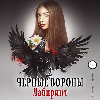 Обложка книги «Черные вороны 2. Лабиринт»