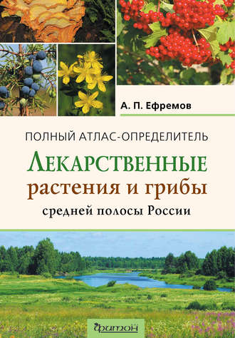 Обложка книги «Лекарственные растения и грибы средней полосы России»