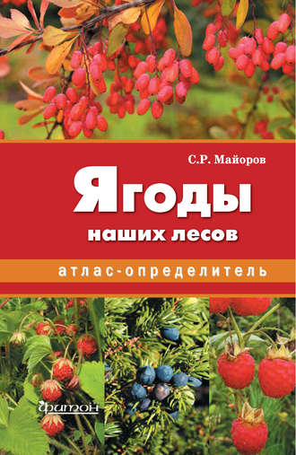 Обложка книги «Ягоды наших лесов»