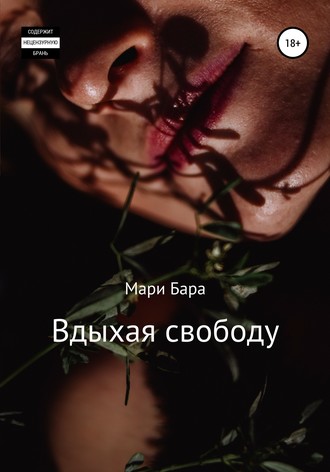 Обложка книги «Вдыхая свободу»