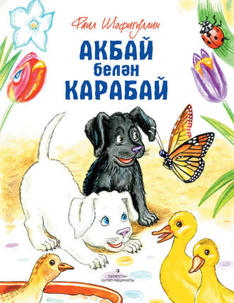 Обложка книги «Акбай белән Карабай»