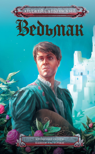 Обложка книги «Крещение огнем. Башня Ласточки»