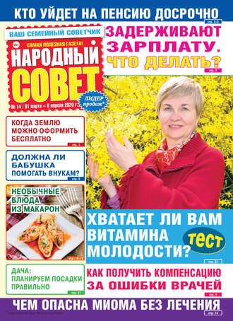 Обложка книги «Народный совет №14/2020»