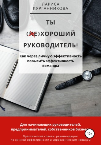 Обложка книги «Ты (не)хороший руководитель. Как через личную эффективность повысить эффективность команды»
