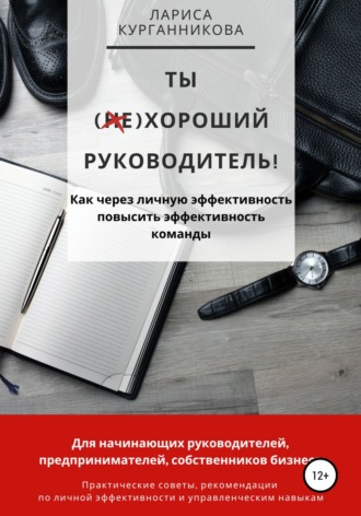 Лариса Курганникова. Ты (не)хороший руководитель. Как через личную эффективность повысить эффективность команды