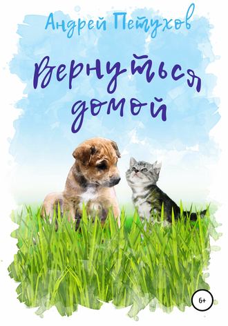Обложка книги «Вернуться домой»