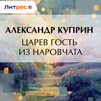 Обложка книги «Царев гость из Наровчата»