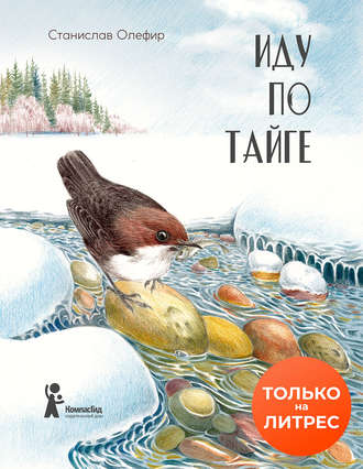 Обложка книги «Иду по тайге»