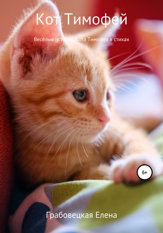 Обложка книги «Кот Тимофей – стихи для детей»