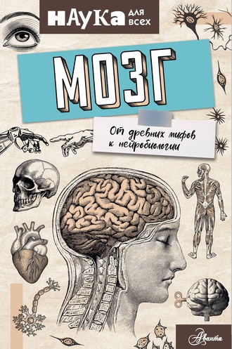 Обложка книги «Мозг. От древних мифов к нейробиологии»