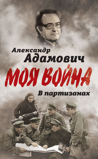 Обложка книги «В партизанах»