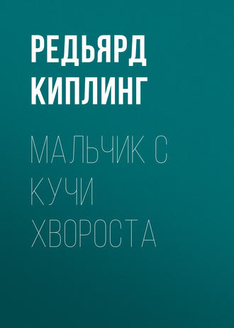Обложка книги «Мальчик с кучи хвороста»