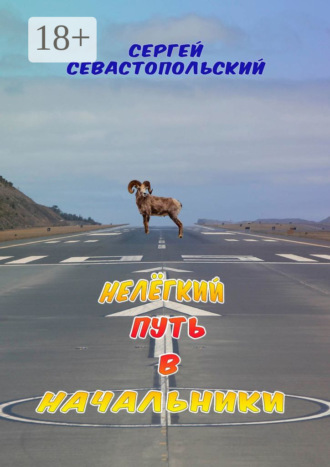 Обложка книги «Нелёгкий путь в начальники»