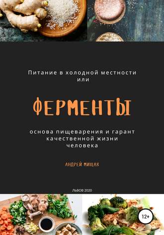 Обложка книги «Ферменты как основа пищеварения и гарант качественной жизни человека. Питание в холодной местности»
