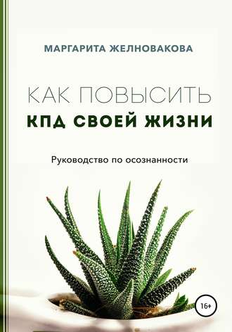 Обложка книги «Как повысить КПД своей жизни»