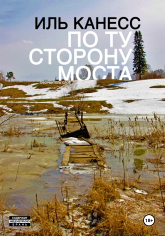 Обложка книги «По ту сторону моста»
