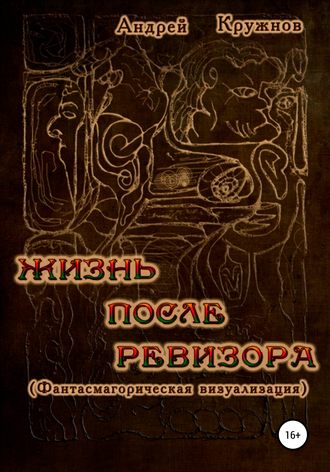 Обложка книги «Жизнь после ревизора»