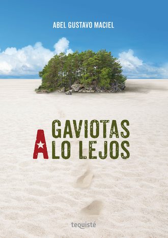 Abel Gustavo Maciel. Gaviotas a lo lejos