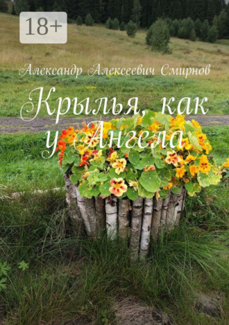 Обложка книги «Крылья, как у Ангела»