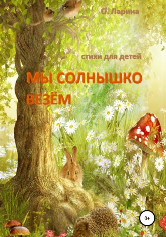 Обложка книги «МЫ СОЛНЫШКО ВЕЗЁМ. Стихи для детей»