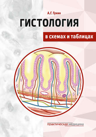Обложка книги «Гистология в схемах и таблицах»