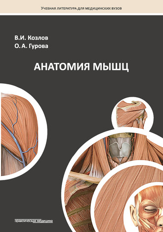 Обложка книги «Анатомия мышц»