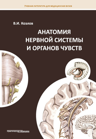 Обложка книги «Анатомия нервной системы и органов чувств»