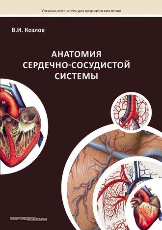 Обложка книги «Анатомия сердечно-сосудистой системы»