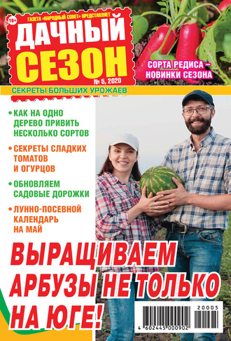 Обложка книги «Дачный сезон №05/2020»