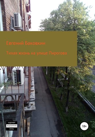 Обложка книги «Тихая жизнь на улице Пирогова»