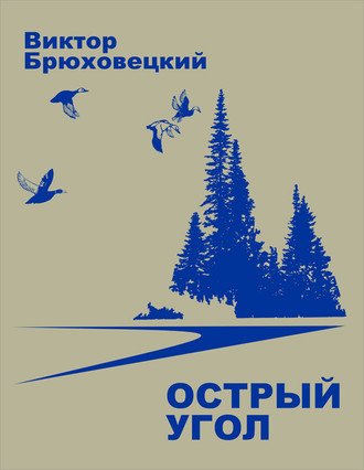 Обложка книги «Острый угол»