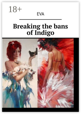 Обложка книги «Breaking the bans of Indigo»