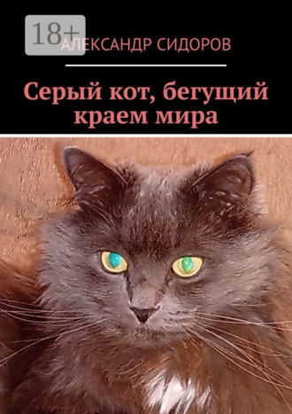 Обложка книги «Серый кот, бегущий краем мира»