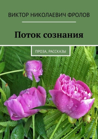 Виктор Николаевич Фролов. Поток сознания. Проза, рассказы