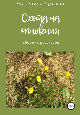 Обложка книги «Охота на мгновения. Сборник рассказов»