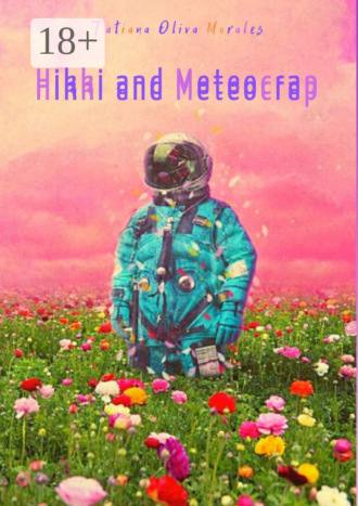 Обложка книги «Hikki and Meteocrap»