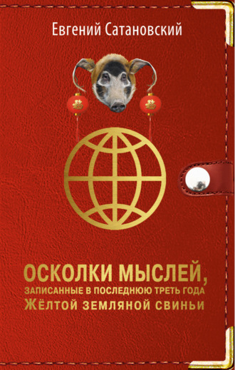 Обложка книги «Осколки мыслей, записанные в последнюю треть года Жёлтой Земляной Свиньи»