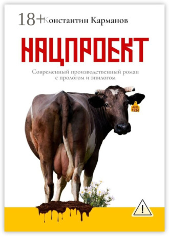 Обложка книги «Нацпроект. Современный производственный роман с прологом и эпилогом»