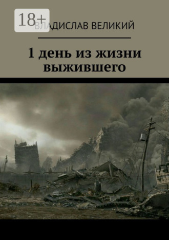 Обложка книги «1 день из жизни выжившего»