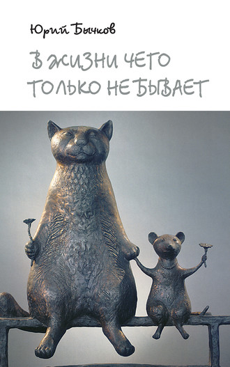 Обложка книги «В жизни чего только не бывает»