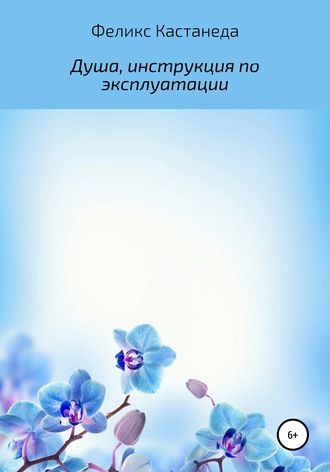 Обложка книги «Душа, инструкция по эксплуатации»